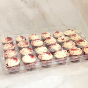 Mini Cupcake Container - 24 count