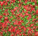 Crunch - Red & Green Peppermint Crunch