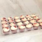 Mini Cupcake Container - 24 count